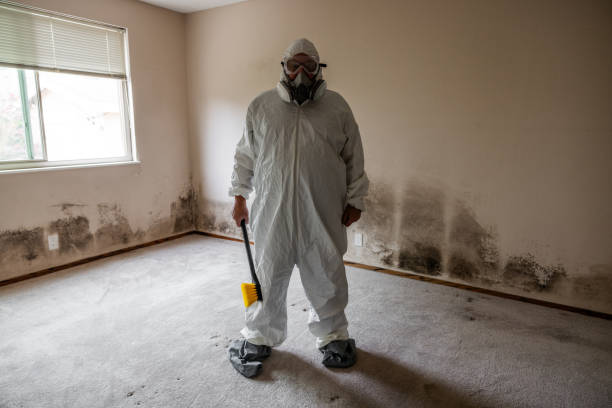 Best Mold Testing  in Thoreau, NM